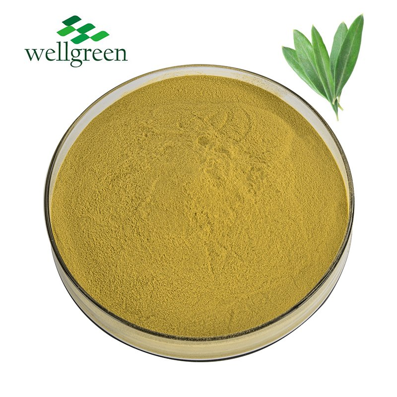 Bulk Sale Herbal Oliver Leaf Extract 10: 1 Oliver Leaf Extract Powder