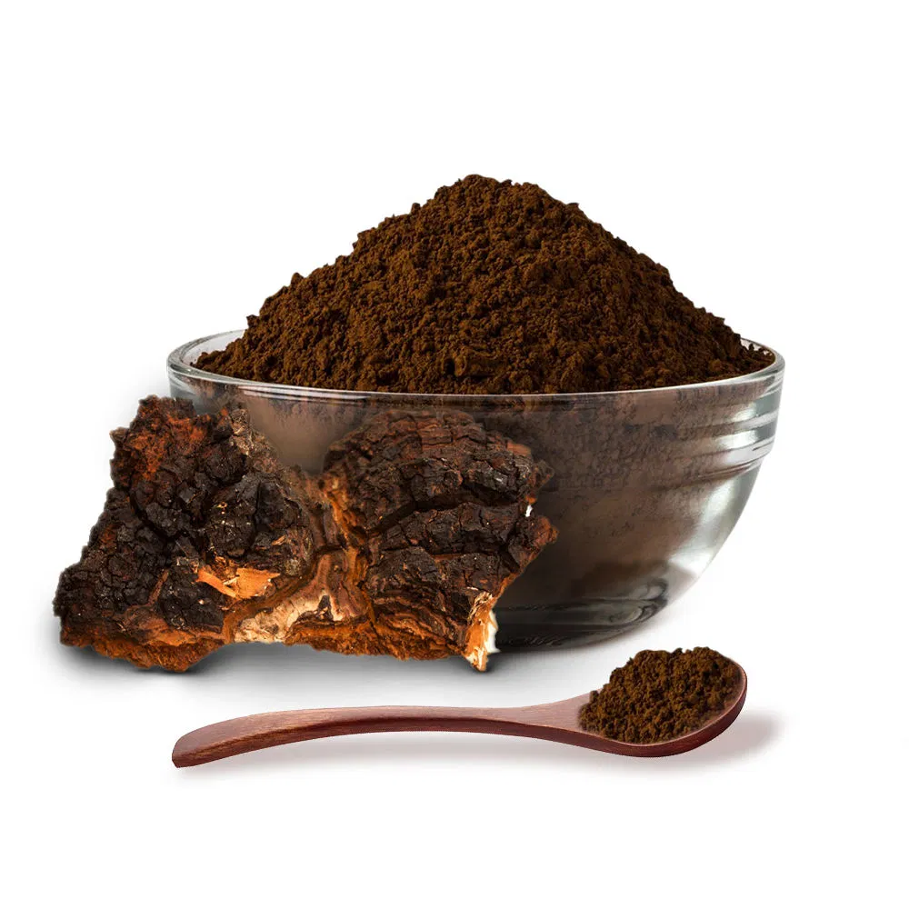 Chaga Mushroom Extract Powder Medicinal Mushroom Extract Pure Healthy Herbal Plant