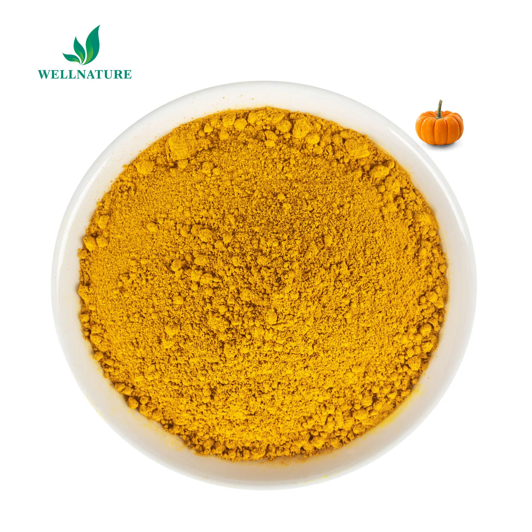 Wholesale Bulk Natural Plant Extract Supplement Pumpkin Extract Pumpkin Powder