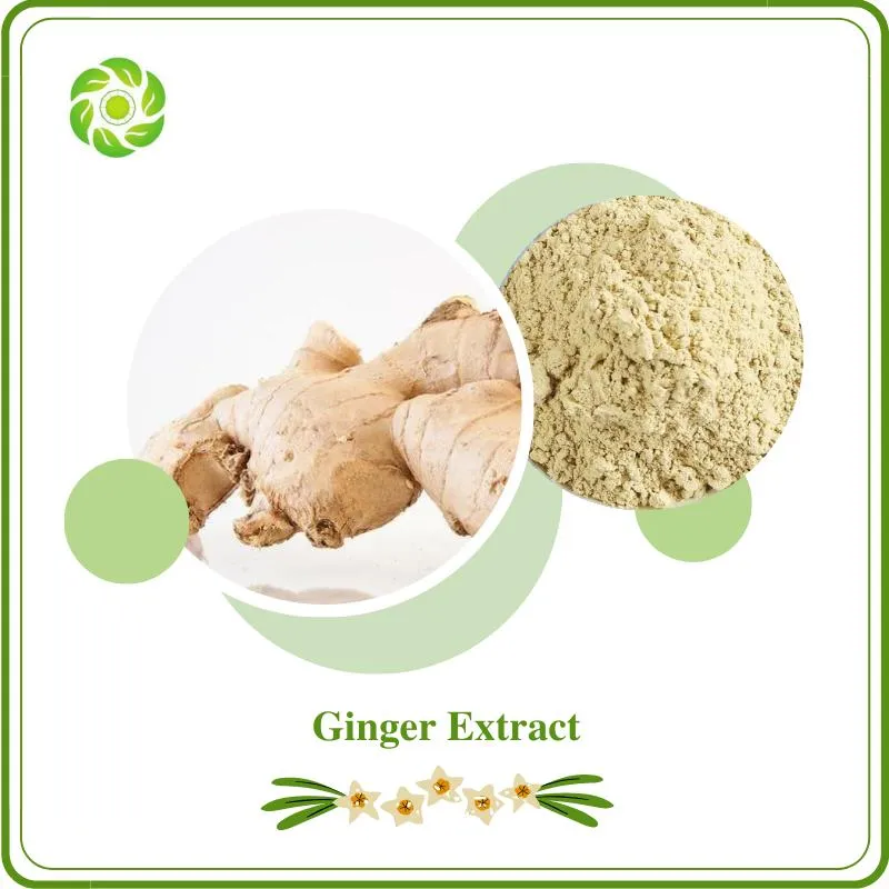 Ginger Extract