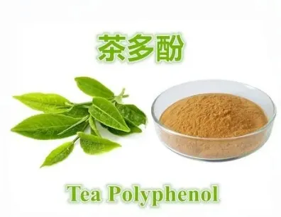 Green Tea Powder