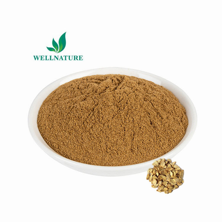 Natural Astragalus Root Membranaceus Extract Powder Astragalus Extract