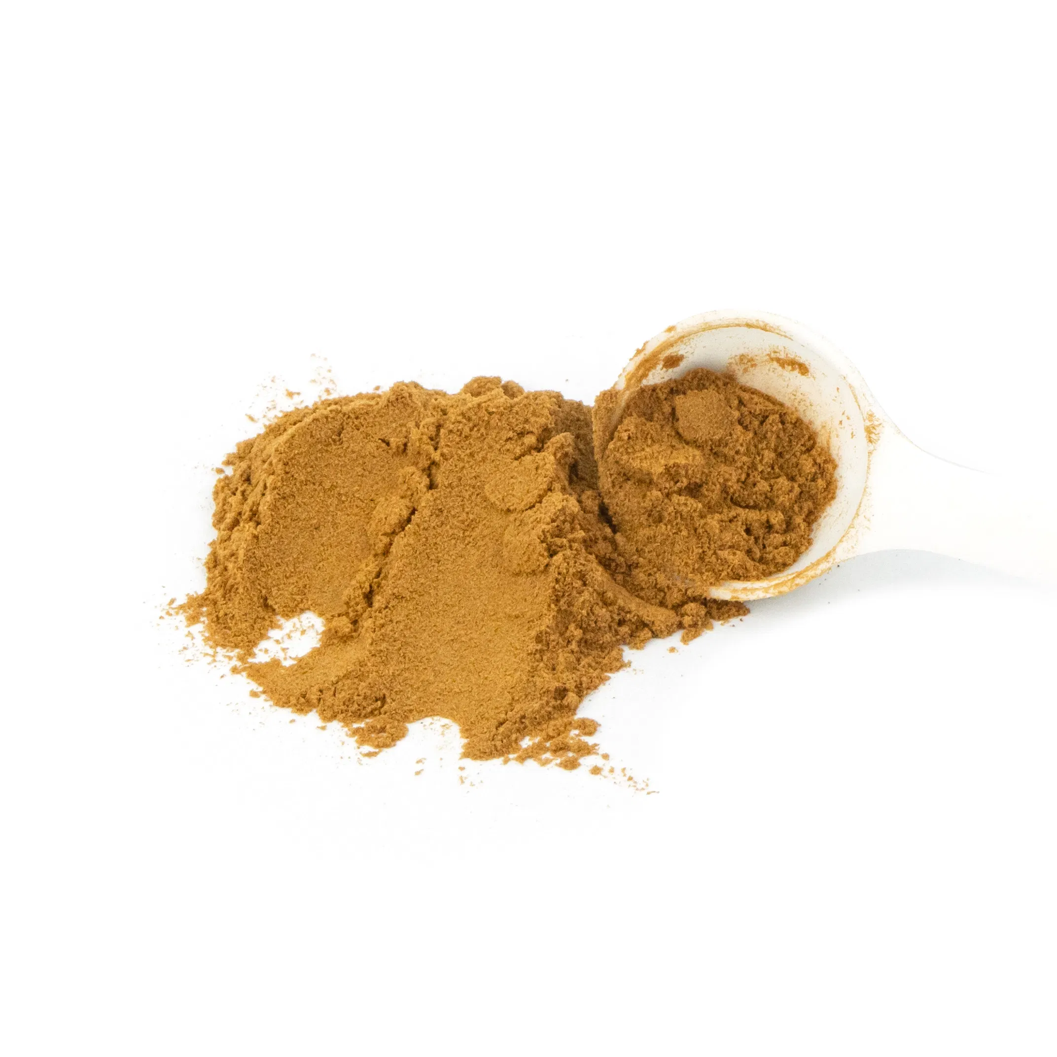 Natural Ngf Stimulator &amp; Cognitive Enhancer Lion's Mane Mushroom Extract