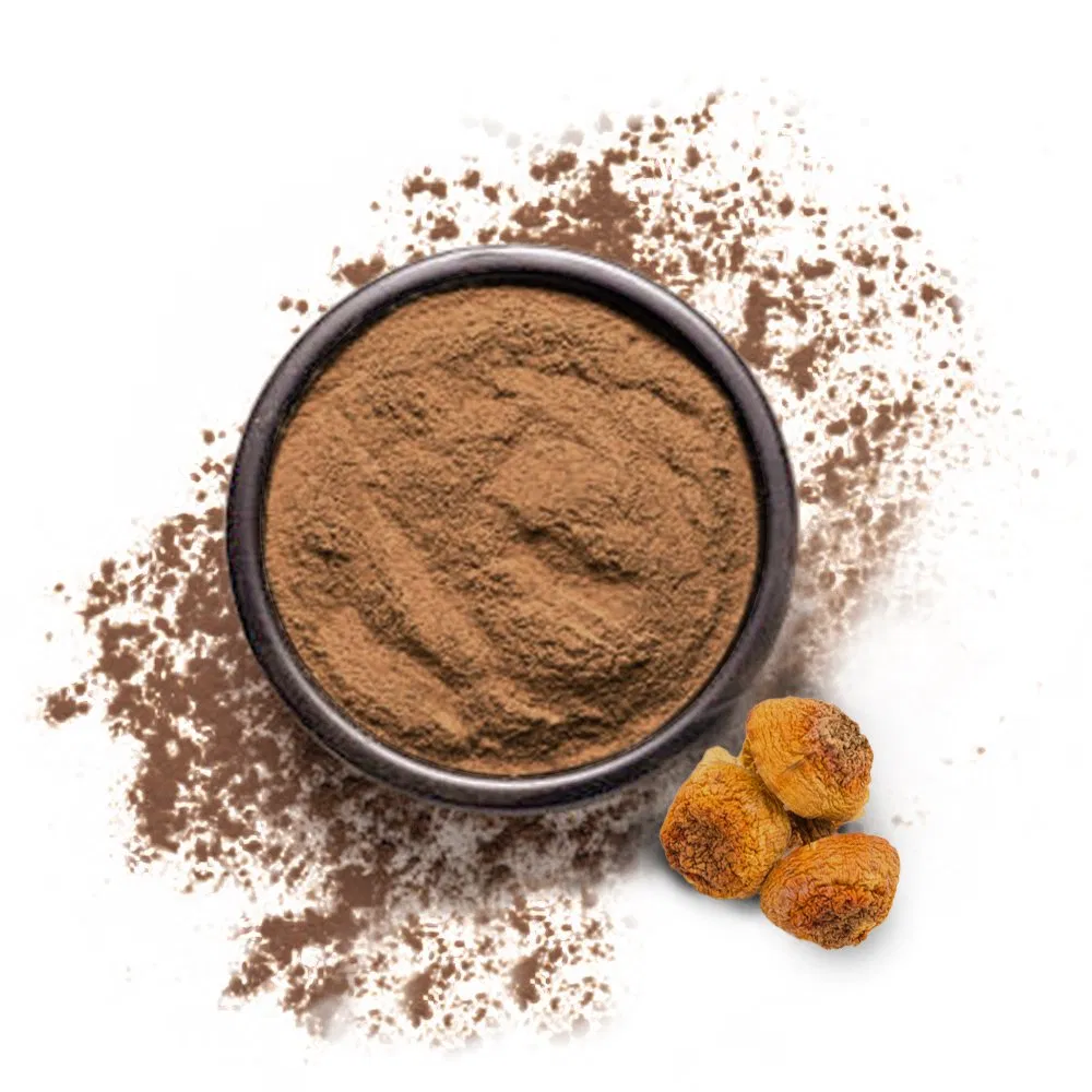 Organic Agaricus Blazei Extract Powder Pure Form