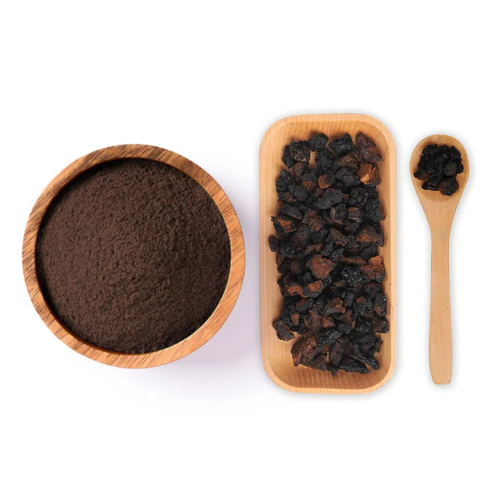 Bulk Customization of Chaga Mushroom Extract Powder Plant Extract Medicinal Mushroom