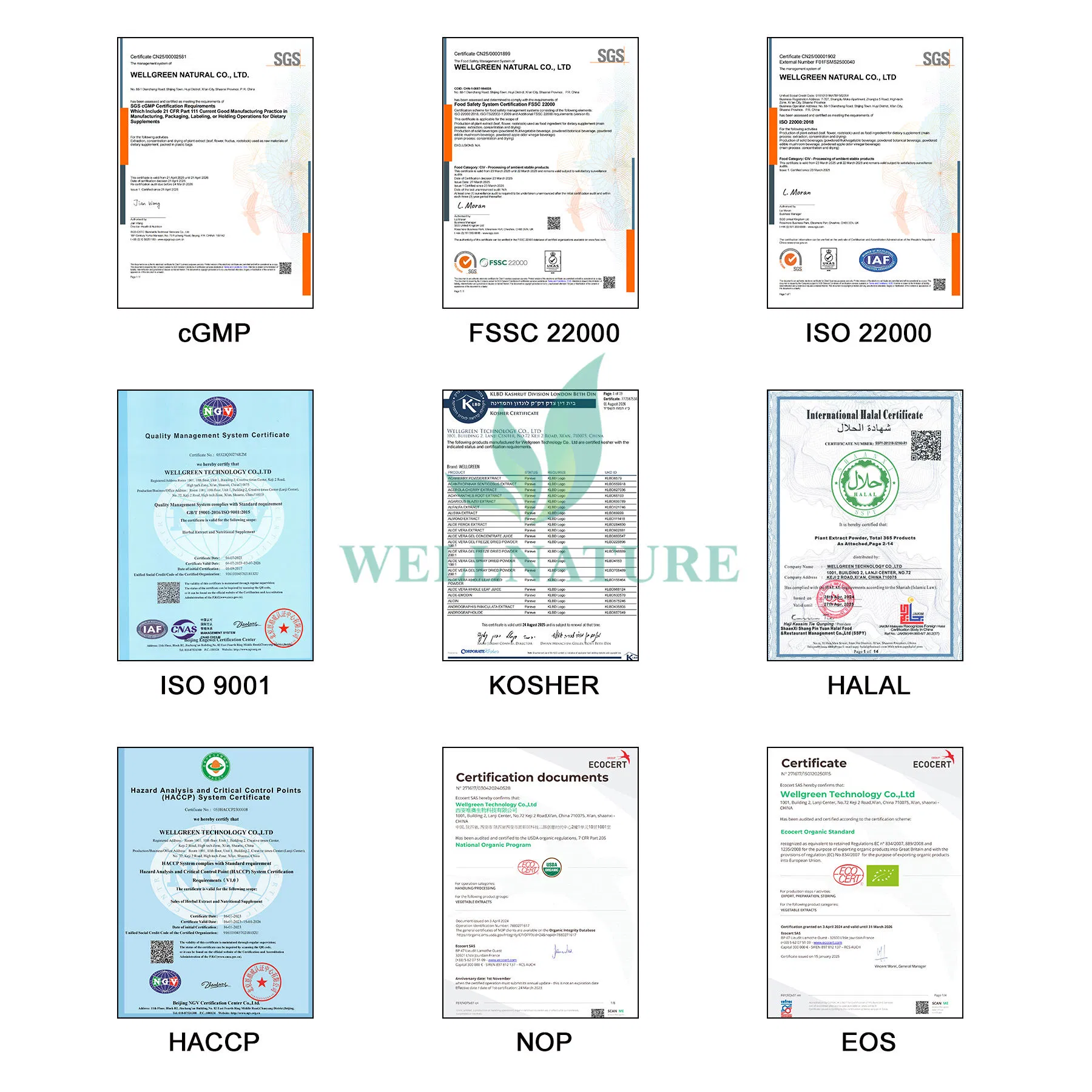 Standardized 5% Chlorogenic Acid for Dietary and Metabolic Supplements Eucommia Ulmoides Extract