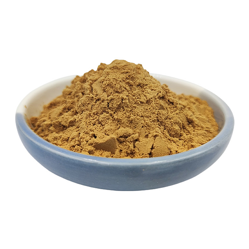 Wholesale Monk Fruit Extract Powder Luo Han Guo Extract Monk Fruit Extract
