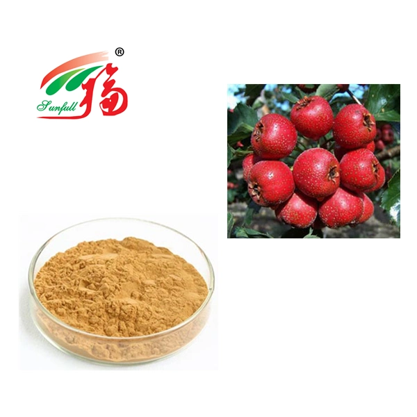 Chinese New Harvest Hawthorn Fruit Extract 20% Flavonoids