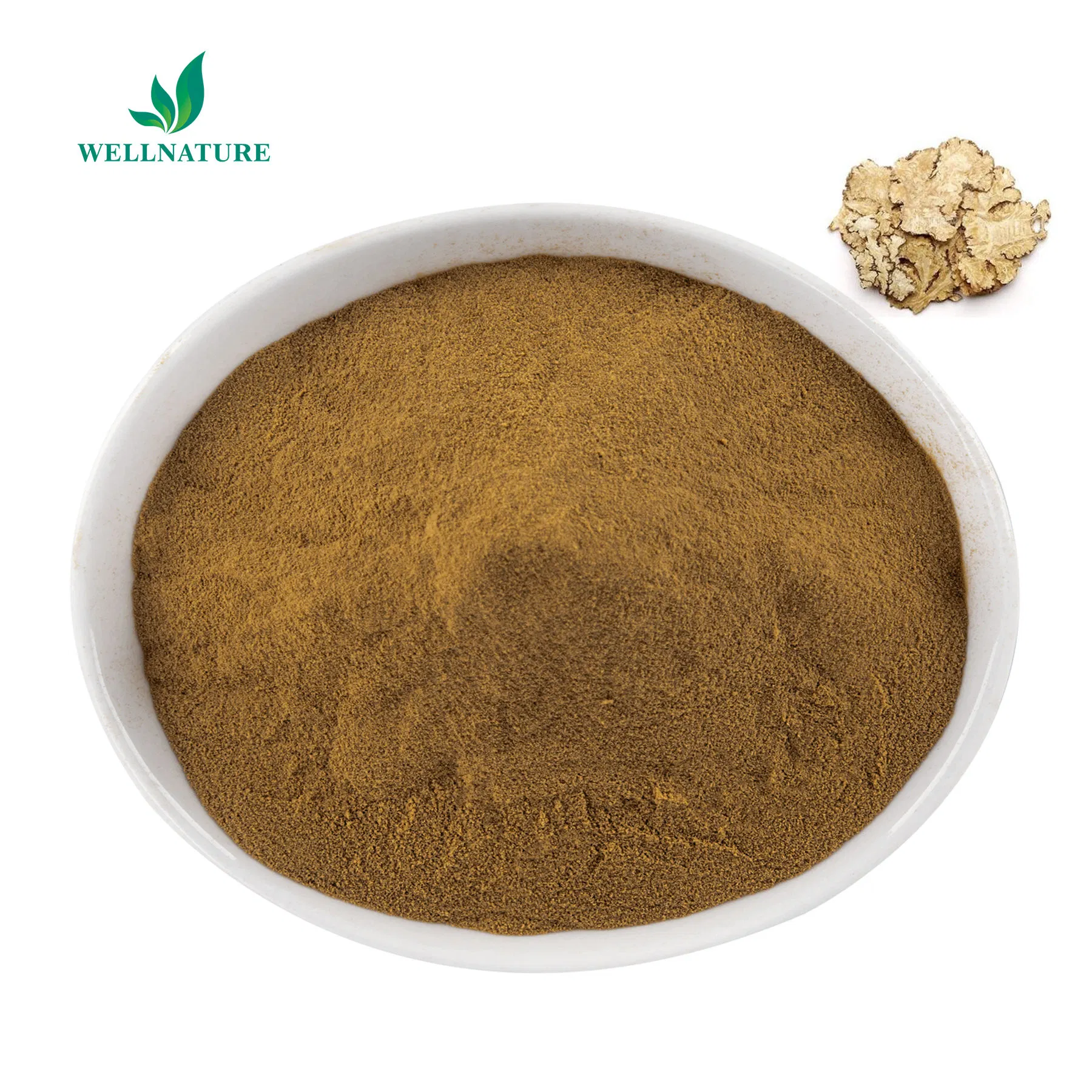 Digestive Support Lovage Root Extract for Herbal Remedies and Tea Blends (Rich in Phthalides)