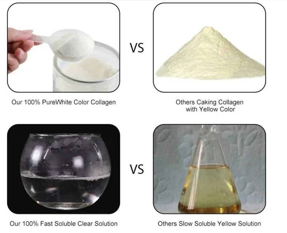 Psyllium Extract Powder