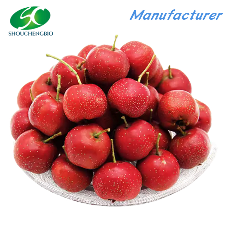 High Quality Hawthorn Extract Hawthorn Extract Powder