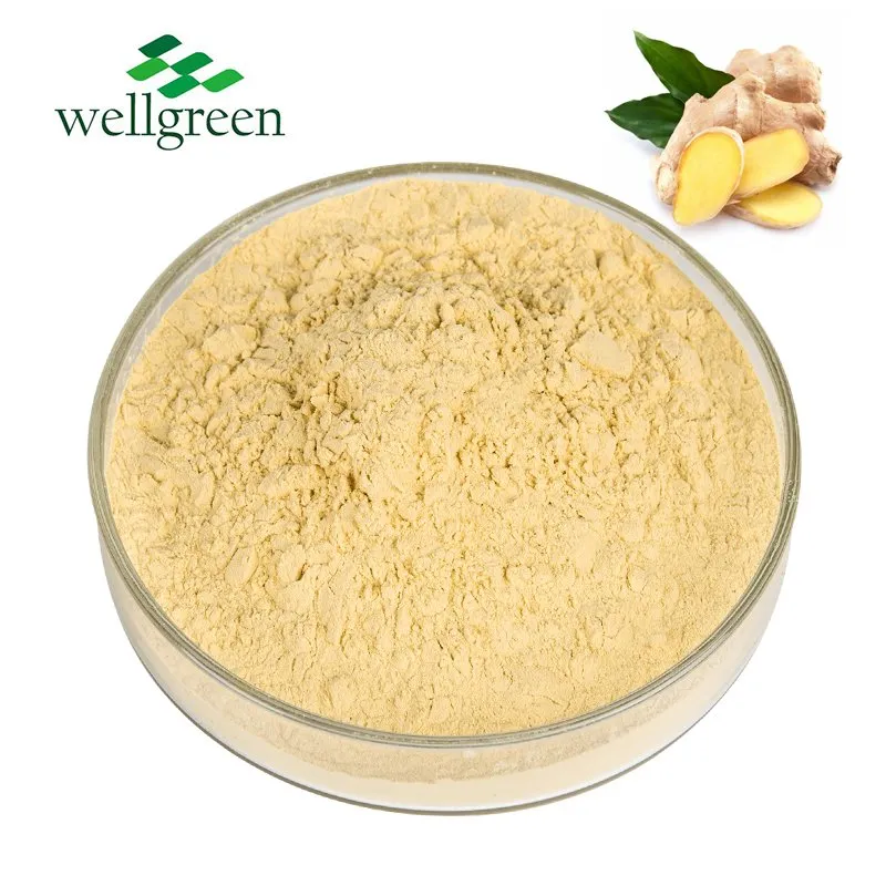 Ginger Extract Powder Display