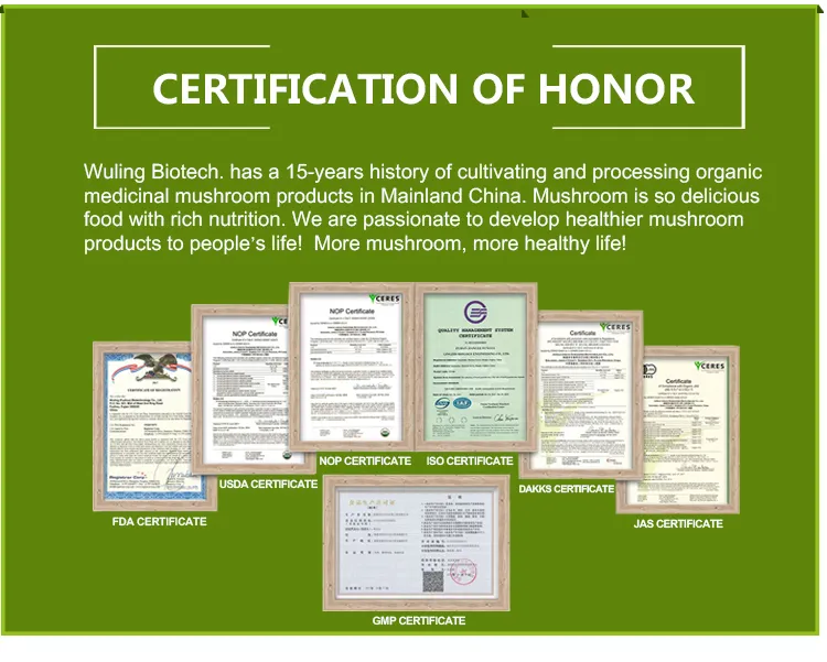 Mushroom Powder Display 5