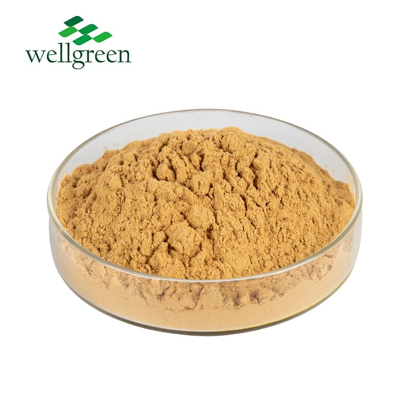 Feed Additive Bulk Price Powder Liquid Root Schidigera Yucca Extract