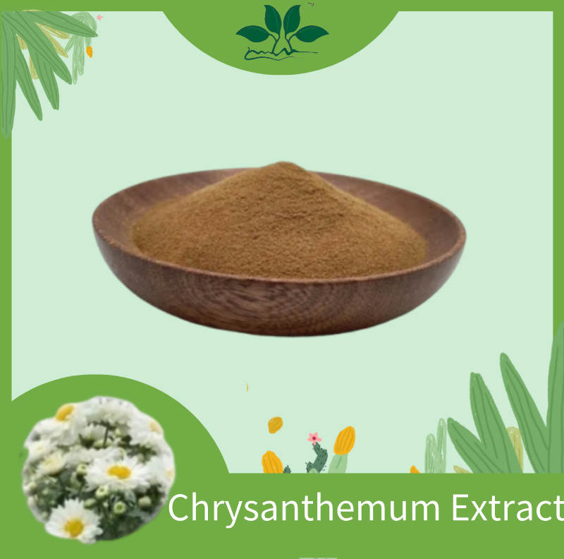 Pure Chrysanthemum Flower Extract for Herbal Supplements and Teas