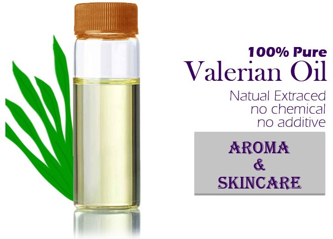 Valerian Oil Valerian Root Extract