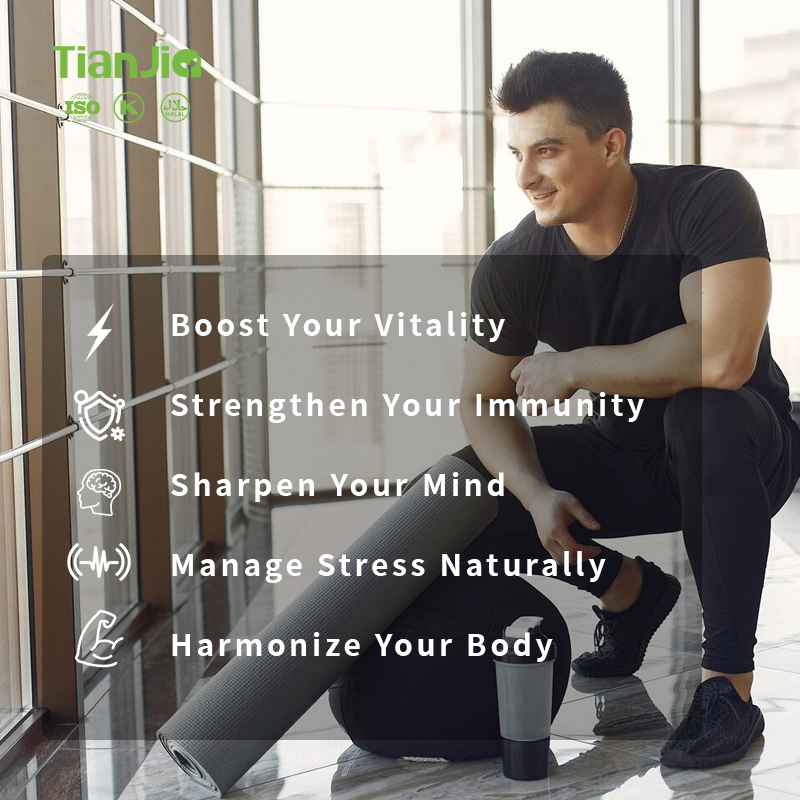 Tianjia Factory Price Plant Extract Supplier Peruvian Maca Root Extract Powder