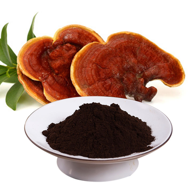 High Quality Reishi Mushroom Extract Medicinal Plant Powder Healthcare Product