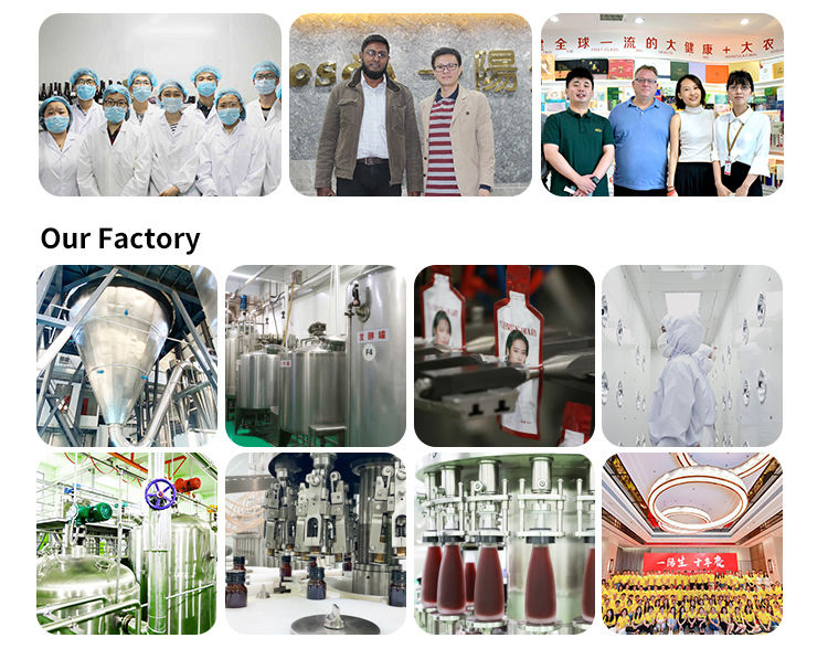 OEM Ginseng Energy Drink Health Supplement Ginseng Polygonatum Maca Extract Liquid Ginseng Royal Jelly Oral Liquid