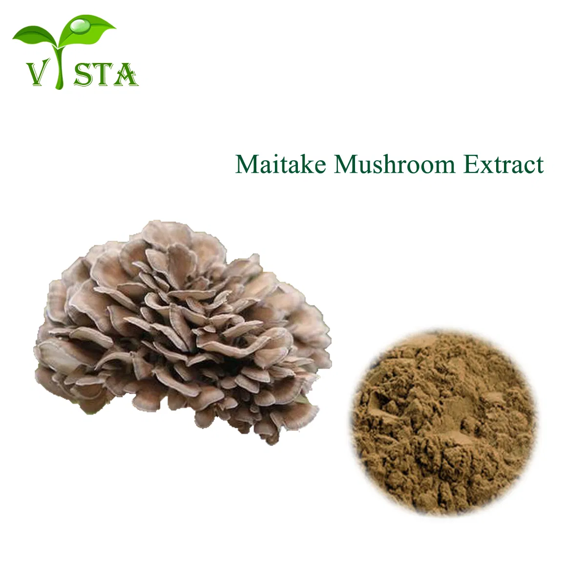 Wholesale Plant Extract Factory Supply High Quality Food Grade Grifola Frondosa Extract 10%~50% Polysaccharides Maitake Mushroom Extract