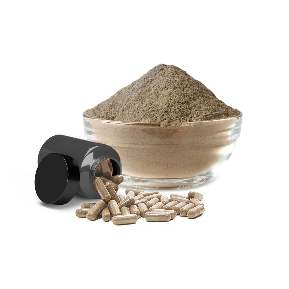 Pure Organic Extract Oyster/Pleurotus Ostreatus Mushroom Powder Capsule Medicinal Mushroom Extract