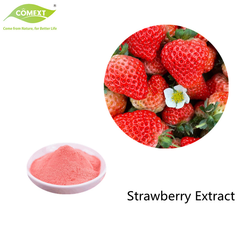 Comext Supply Natural Fruit Powder Freeze Dried Strawberry Powder Extract Best Price