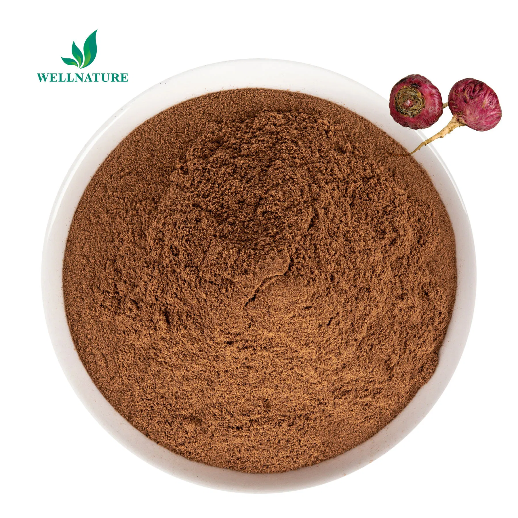 Standardized Bulk Maca Extract 10: 1 for Food and Supplement Manufacturer (Maca Root Powder Extract)