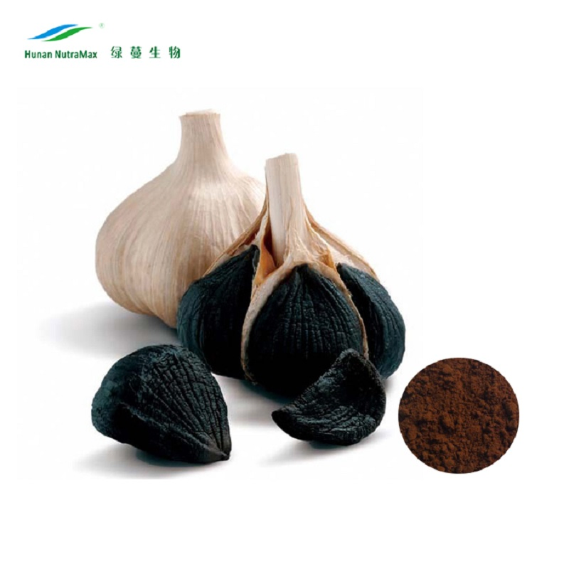 S-Allylcysteine 0.1% Fermented Black Garlic Extract with Herbal Extract
