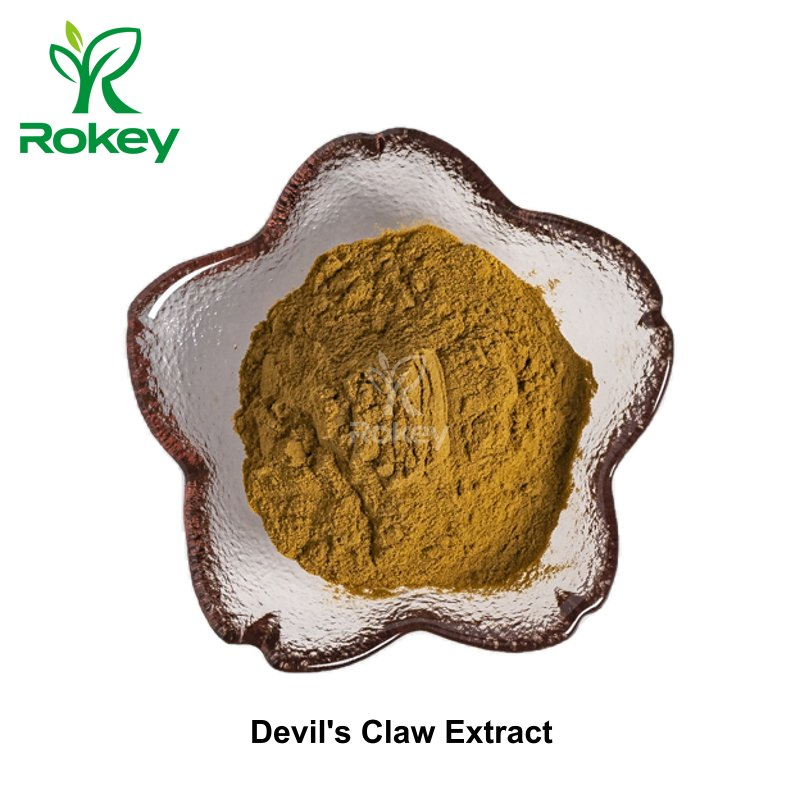 Premium Herbal Support for Joint &amp; Muscle Comfort Devil's Claw Extract Powder