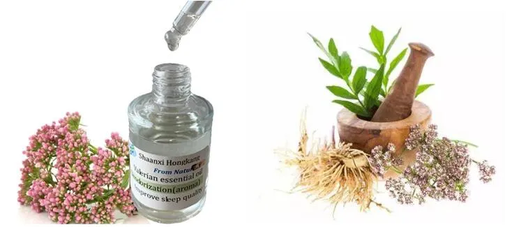 Valerian Oil Extraction