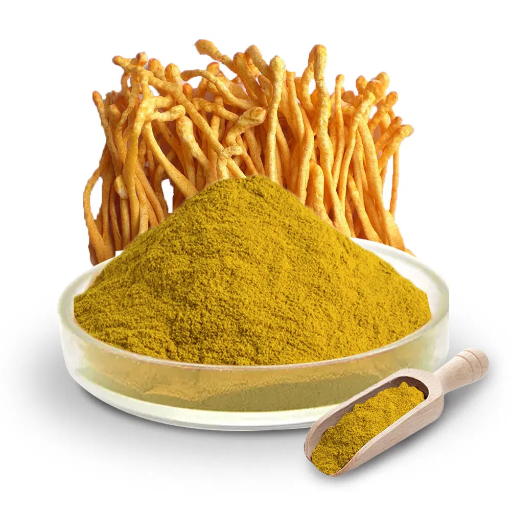 Cordyceps Militaris Dual Extract Powder Cordyceps Beta Glucan, Polysaccharides Cordycepin Medicinal Mushroom