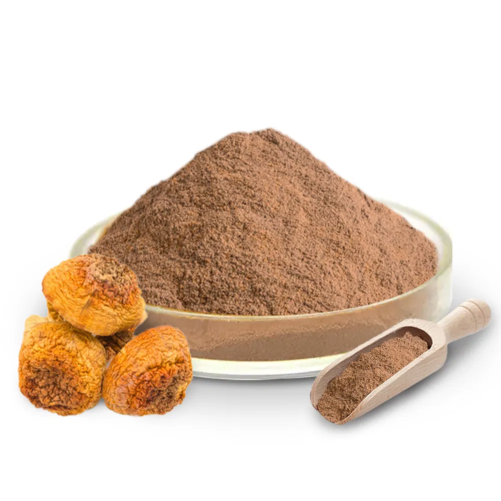 Organic Agaricus Blazei Extract Powder Pure Form