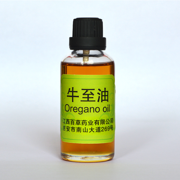 Oregano Oil Herbal Essential Oil