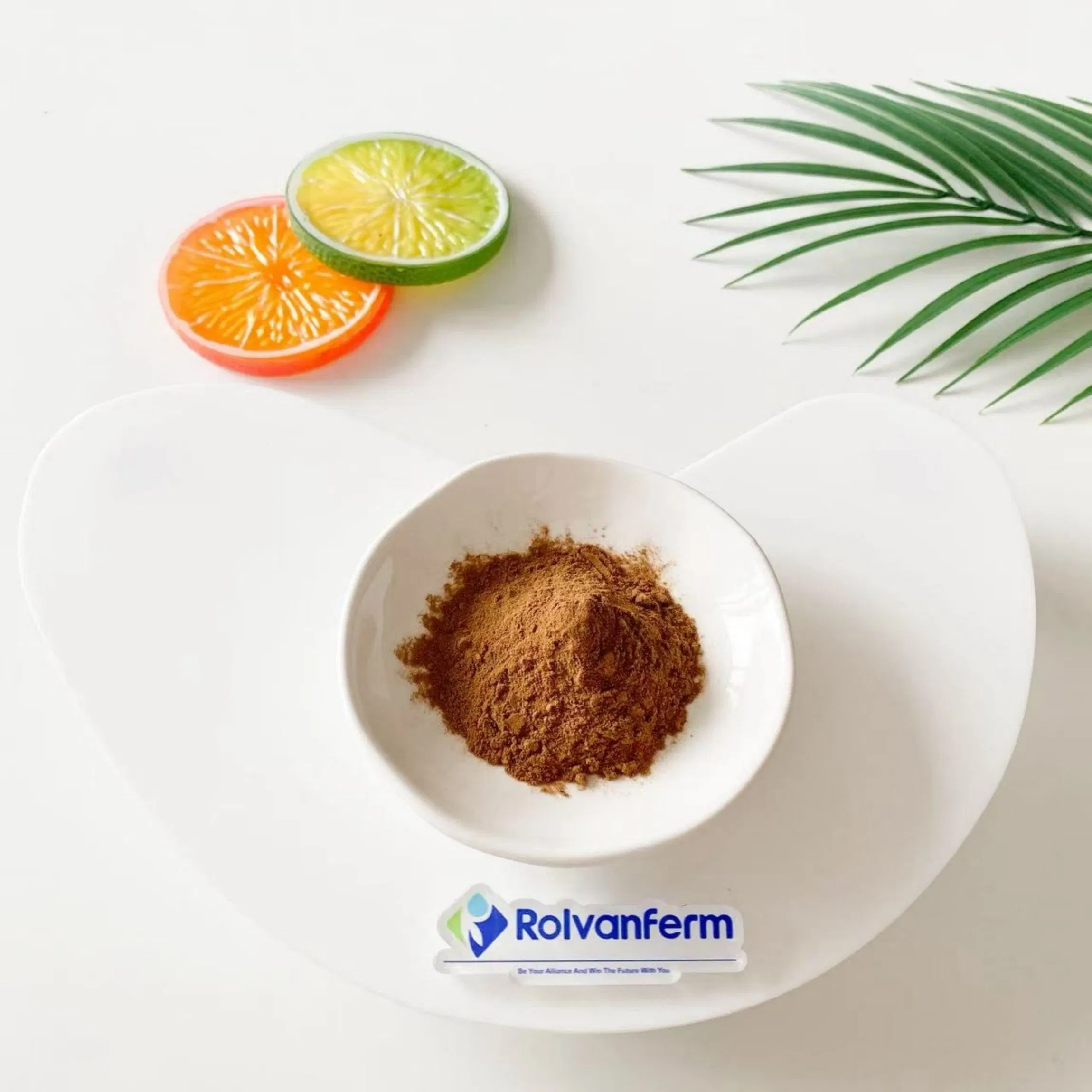 Nothopanax Davidii Extract Natural Liangwang Tea Leaf Extract for Nutritional Supplements and Herbal Wellness Products