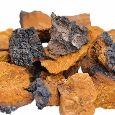 Chaga Extract Powder