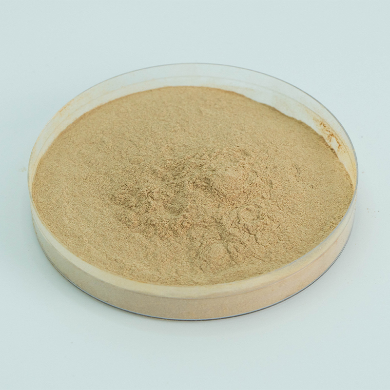 Factory Supply10% 40% 80% Notoginsenosides Panax Notoginseng Root Extract
