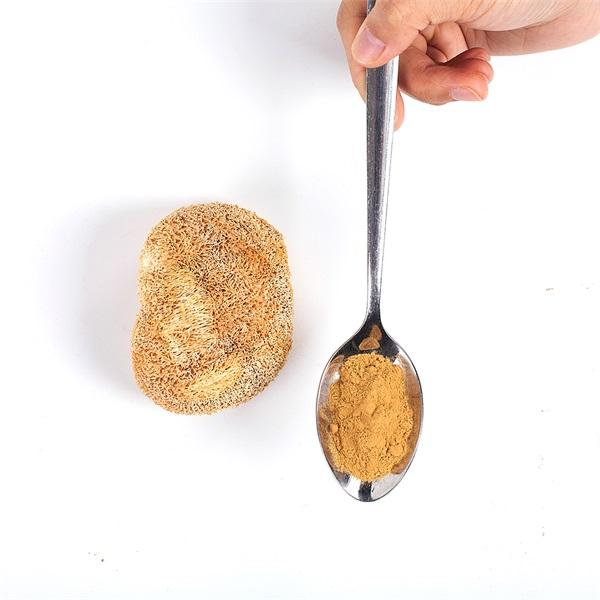 Hot Sale Liquid-Solid Extraction Food Grade Herbal Extract Brown-Yellow Lions Mane Extract