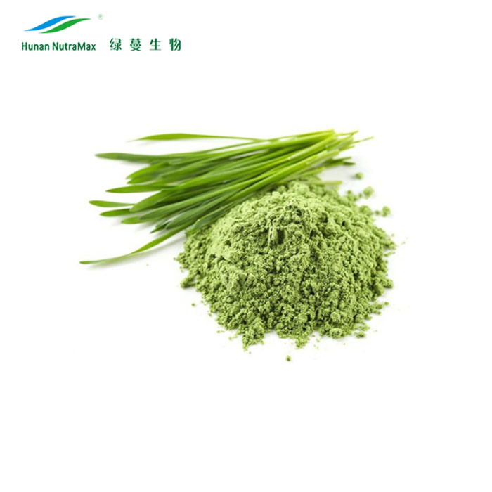 Herbal Supplements Wheat Grass Extract Powder