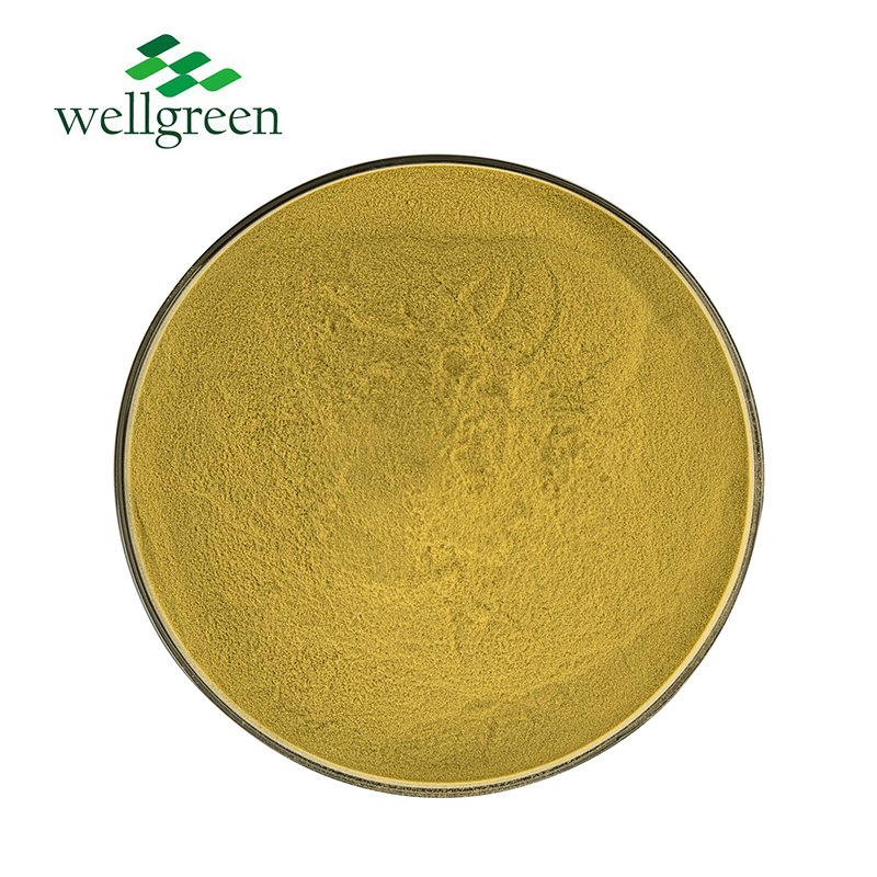 Bulk Sale Herbal Oliver Leaf Extract 10: 1 Oliver Leaf Extract Powder