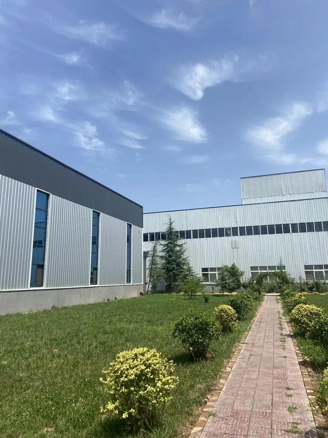 Broccoli Extract Detail 7