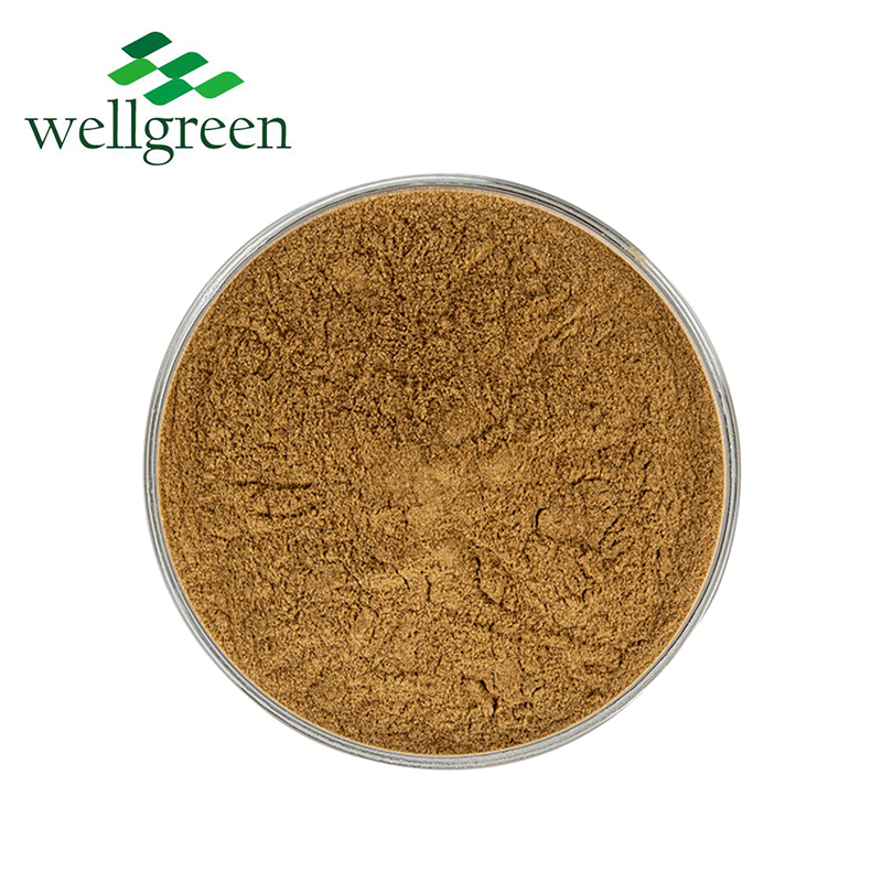 Supplement Use Green Tea Extract Powder EGCG 98% Polyphenols