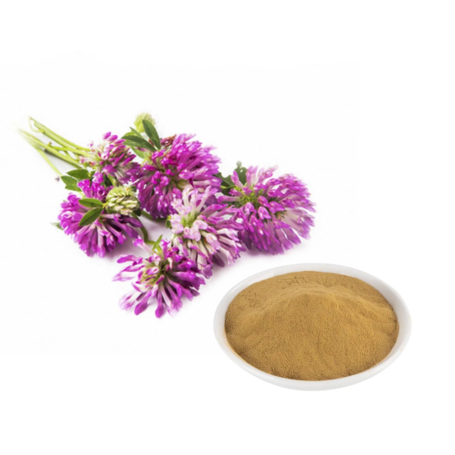Standardized 40% Isoflavones Content for Dietary Supplement and Nutraceutical Formulations Red Clover Extract