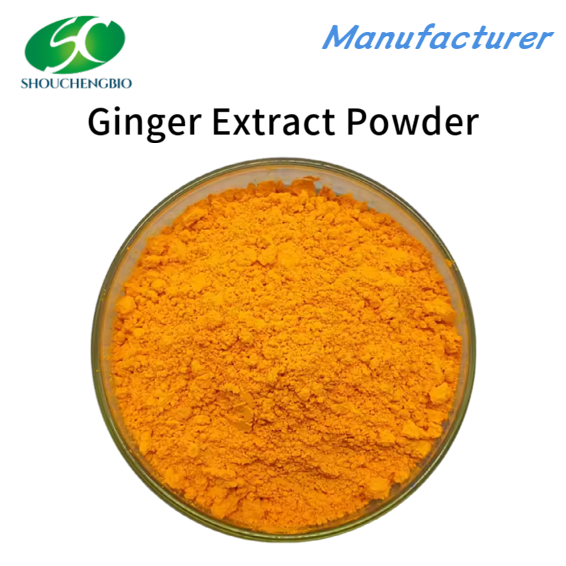 100% Pure Nature Oragnic Ginger Root Extract Powder Sw Flavor