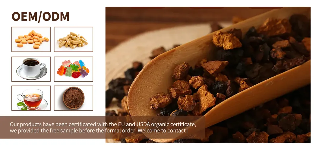 Chaga Mushroom Extract Powder