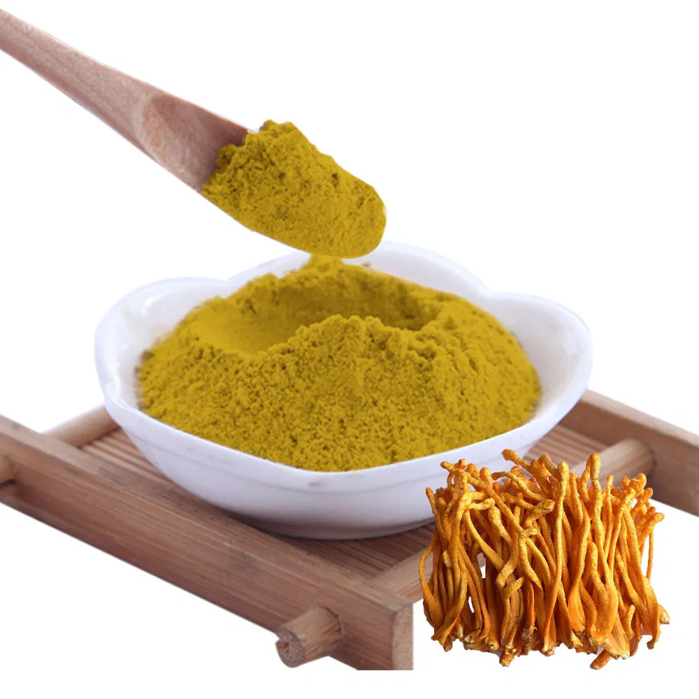 Cordyceps Militaris Dual Extract Powder Cordyceps Beta Glucan, Polysaccharides Cordycepin Medicinal Mushroom