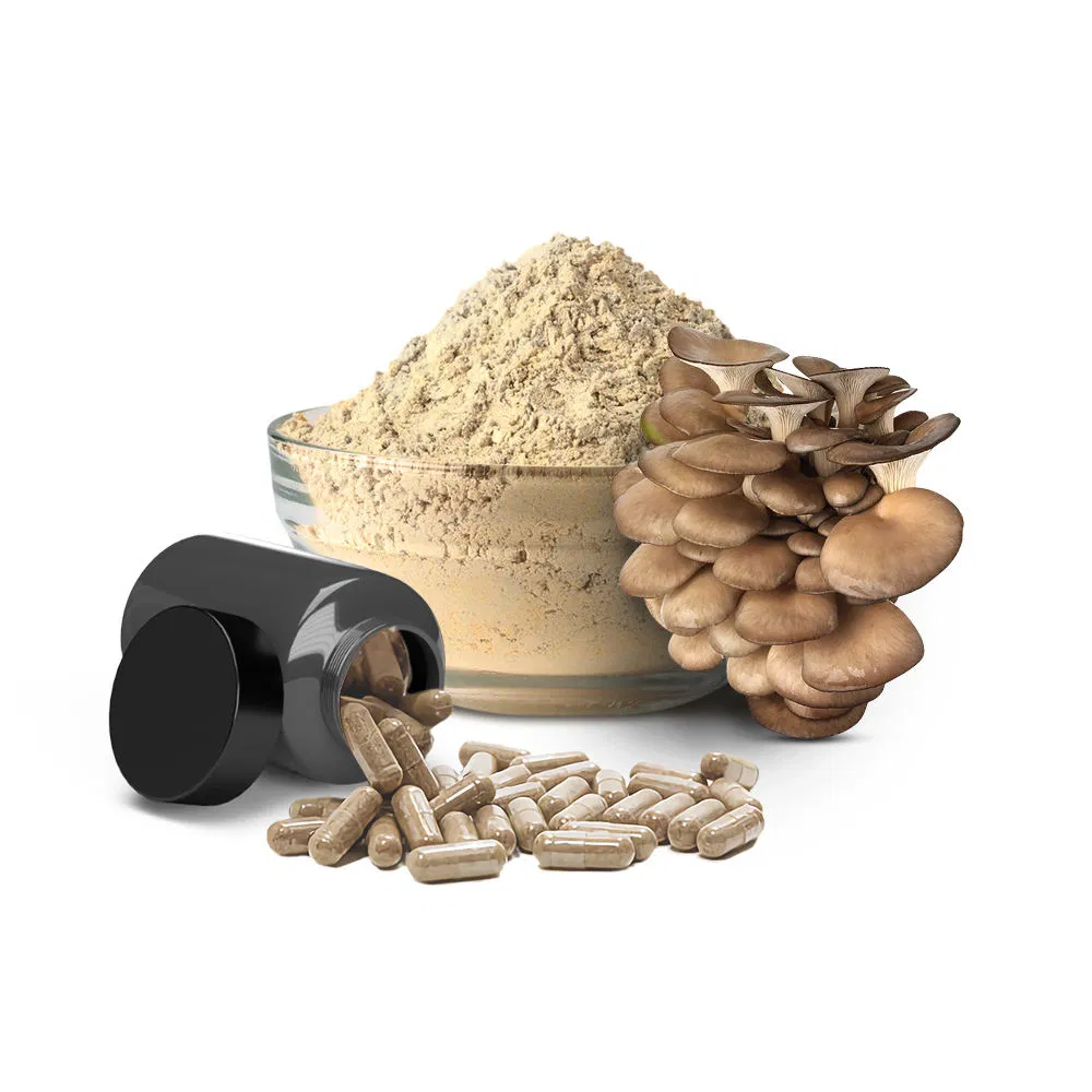 Pure Organic Extract Oyster/Pleurotus Ostreatus Mushroom Powder Capsule Medicinal Mushroom Extract