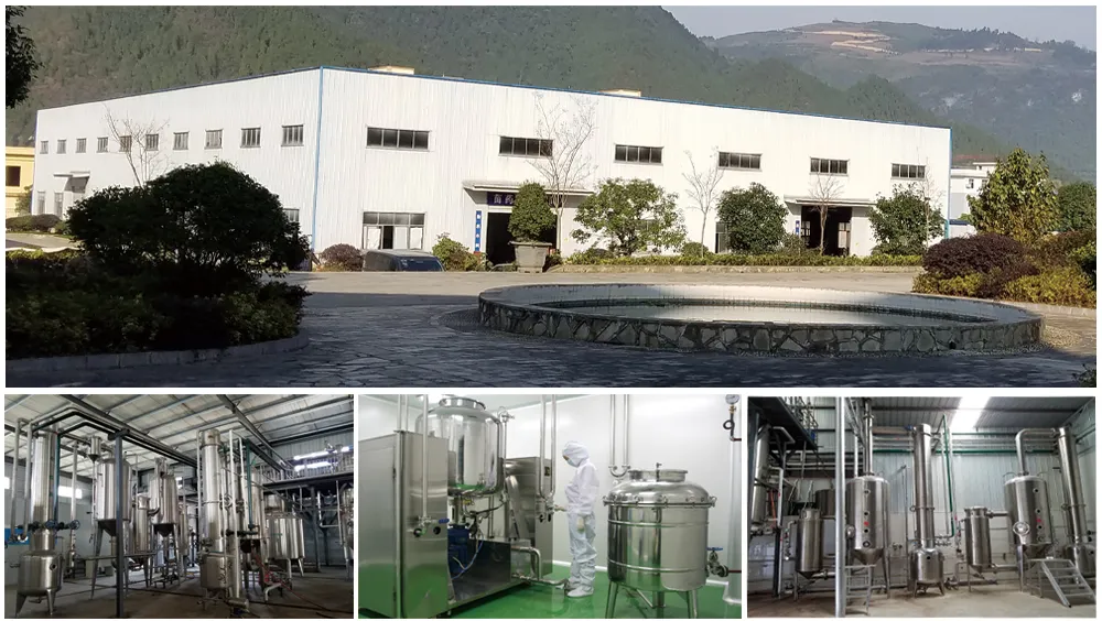 Manufacturing Facility