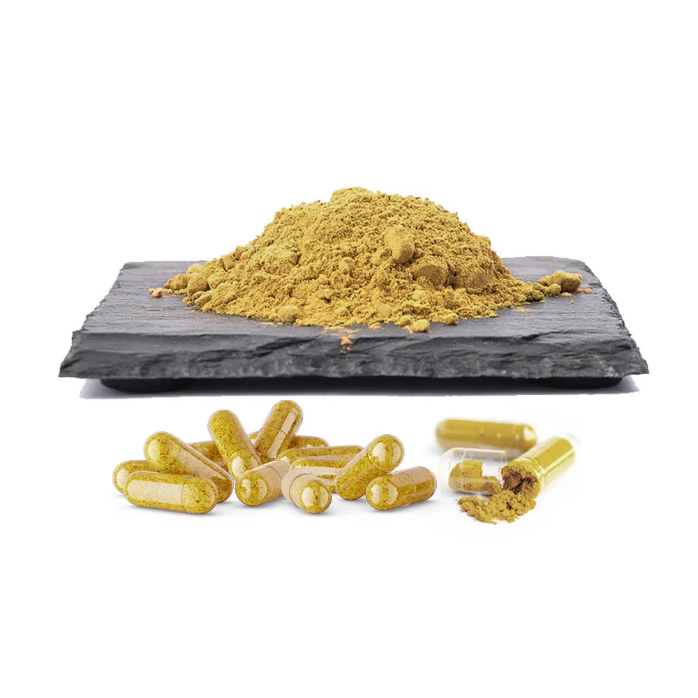 OEM Herbal Supplements Cordyceps Extract Capsules Cordyceps Sinensis Powder Mushroom Extract