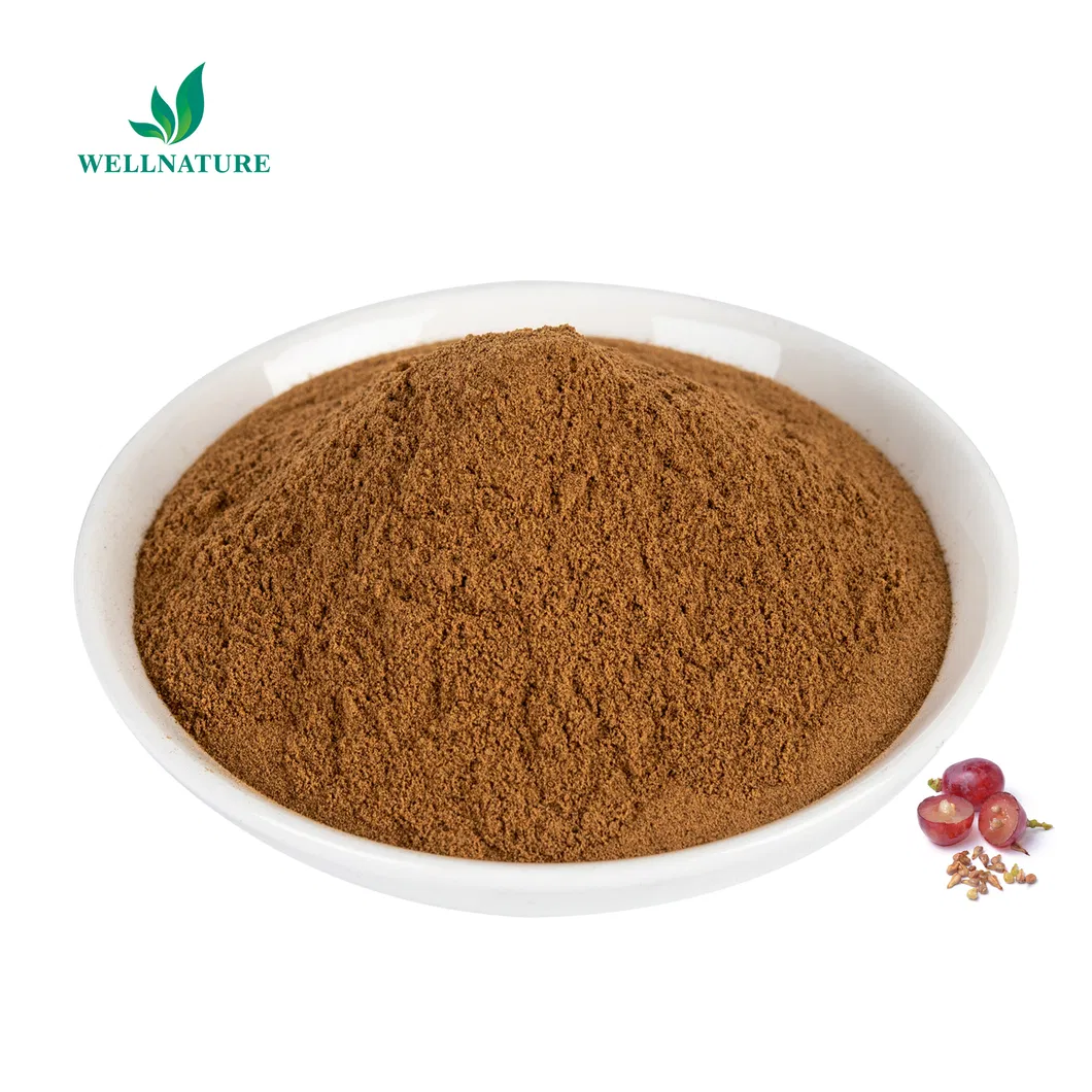 Grape Seed Extract