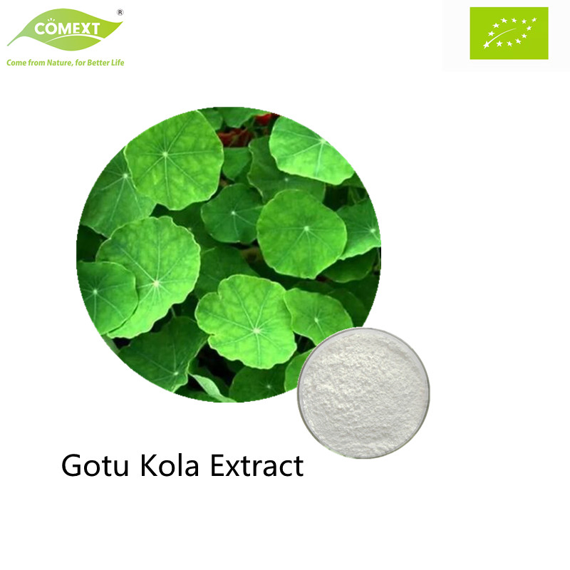 Comext Plant Extract Herbal Extract Cosmetics Ingredients Gotu Kola Asiatic Acid Centella Asiatica Extract Triterpenoid Glycosides Powder